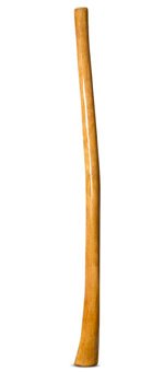 Gloss Finish Didgeridoo (TW1172)
